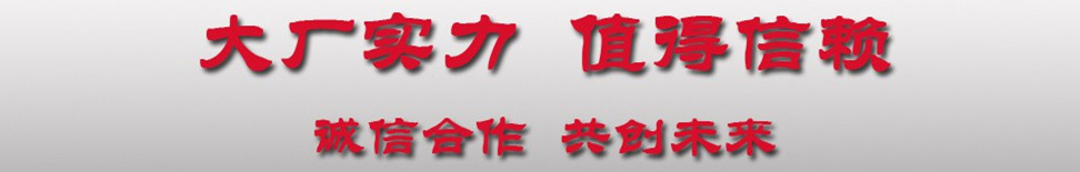 程力大廠實力